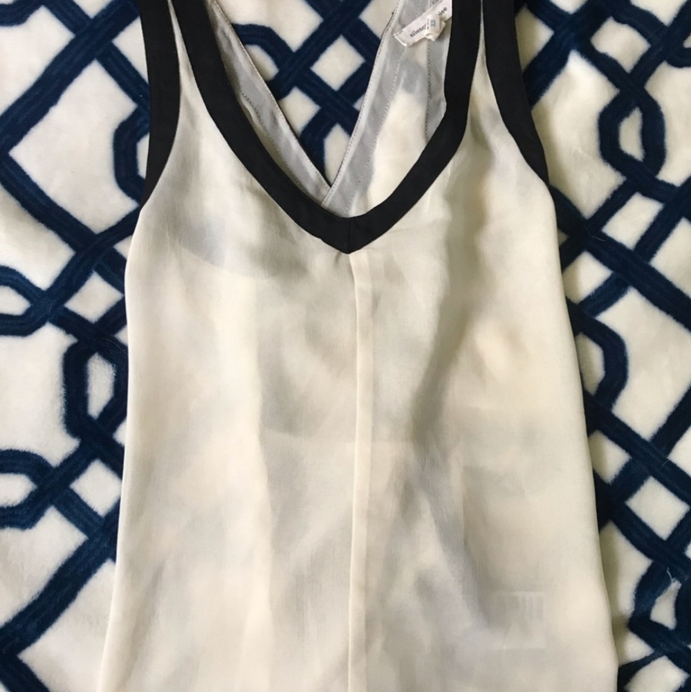 Silence + Noise Sheer Tank Top